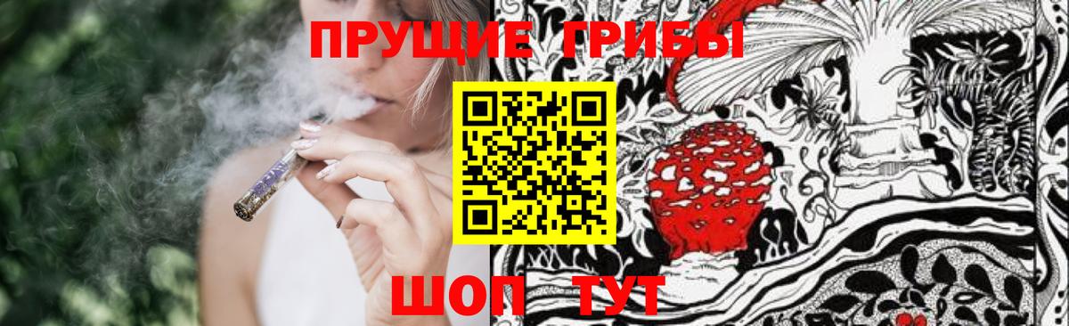 Псилоцибиновые грибы GOLDEN TEACHER Нурлат