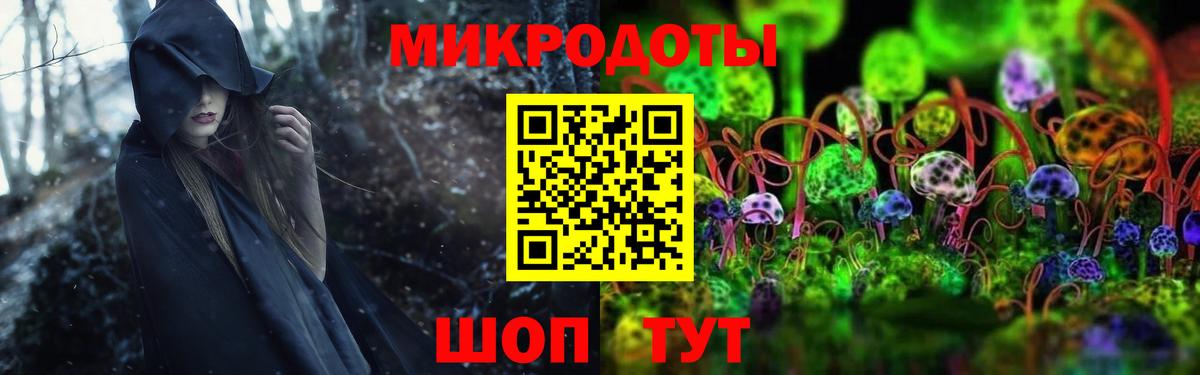 Галлюциногенные грибы Psilocybe  Вход с VPN  Нурлат  Псилоцибиновые грибы ЛСД 